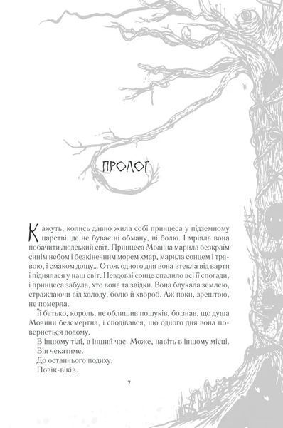 Лабіринт Фавна 10311005929 фото
