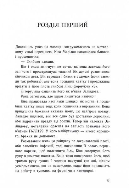 Тюремна цілителька. Книга 1 10311025595 фото