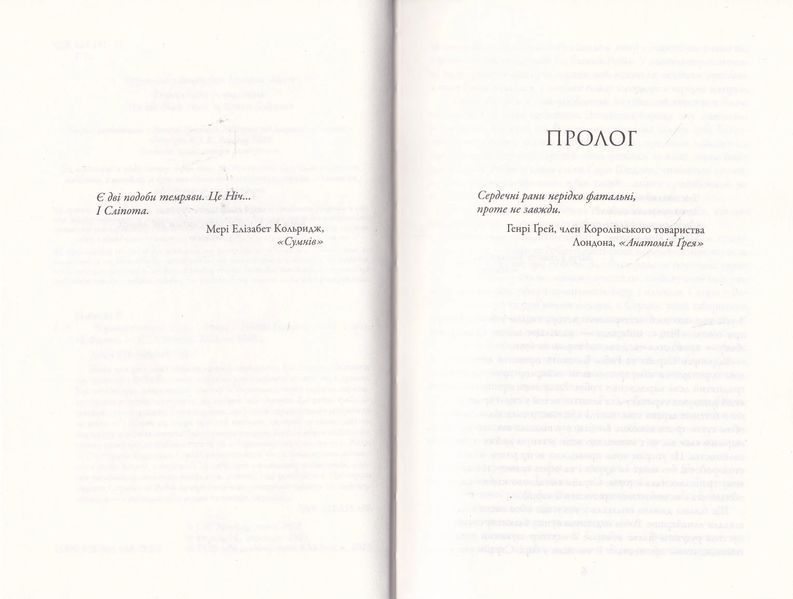 Чорнильно-чорне серце. Книга 6 10311019714 фото