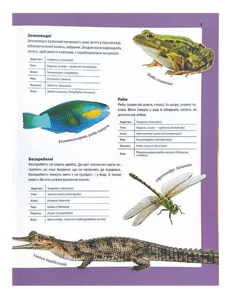 Велика книга тварин 10311026985 фото