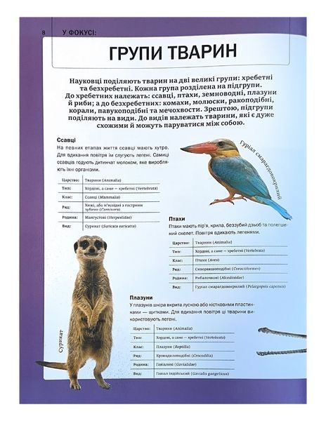 Велика книга тварин 10311026985 фото