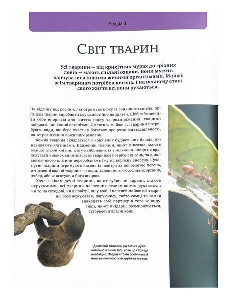 Велика книга тварин 10311026985 фото