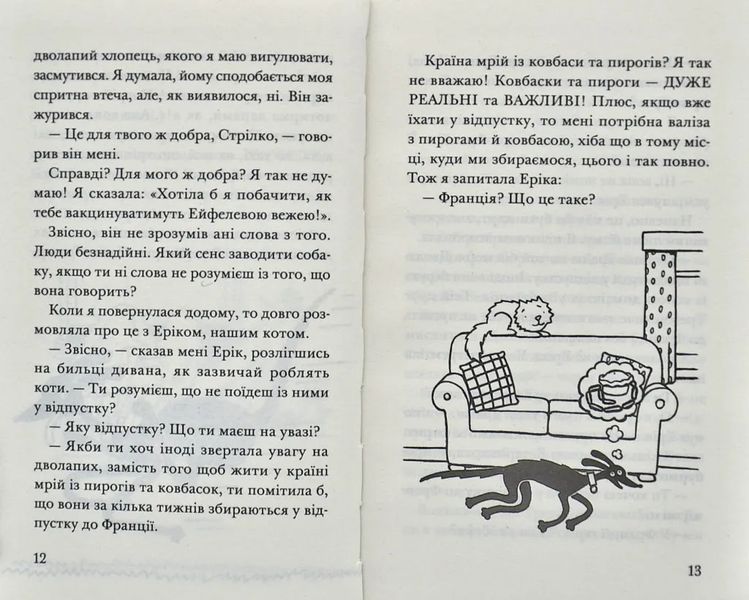 Викрадення! Гаряче літо Ракети на чотирьох лапах 10311006027 фото