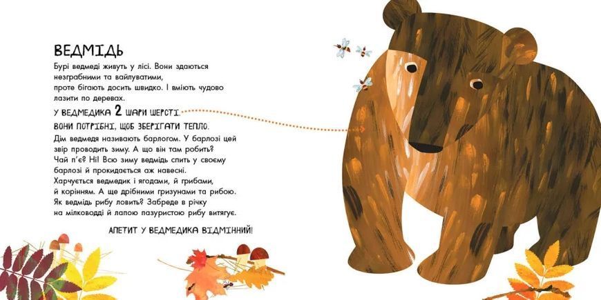 Ці дивовижні тварини 10311010770 фото