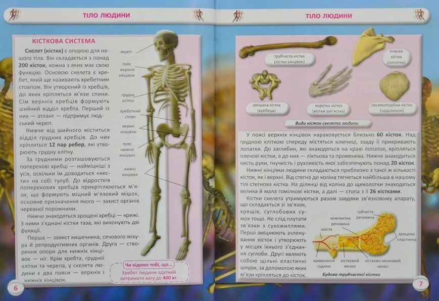 Усе про тіло людини. 100 цікавих фактів 1031167482 фото