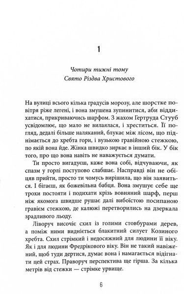 Сніговерть. Доґґерланд. Книга 2 10311032348 фото