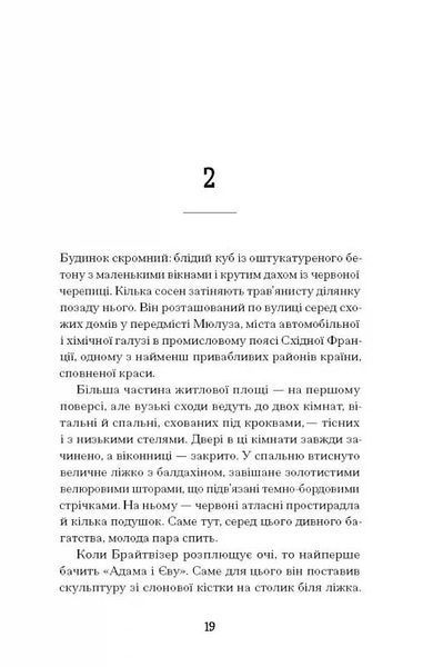 Мистецький злодій 10311025009 фото