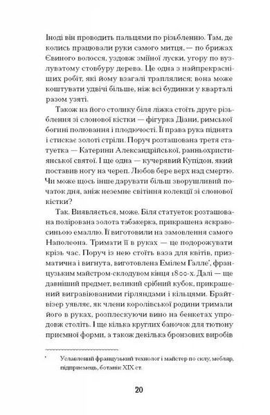 Мистецький злодій 10311025009 фото