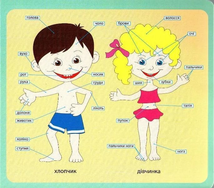 Зазирни у віконце. Людина. 50 віконець 1031160773 фото