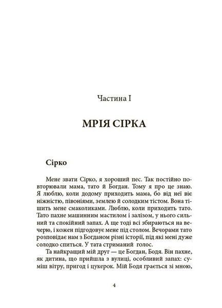 Мрія Сірка. Оповідання для дітей про людяність, сміливість і здійснення мрій 10311029737 фото