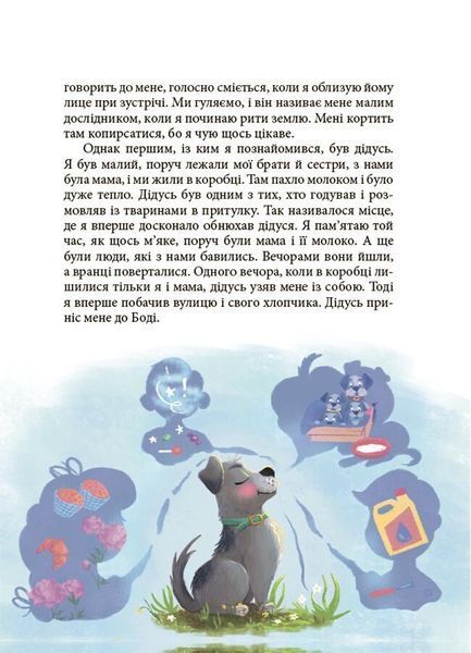 Мрія Сірка. Оповідання для дітей про людяність, сміливість і здійснення мрій 10311029737 фото