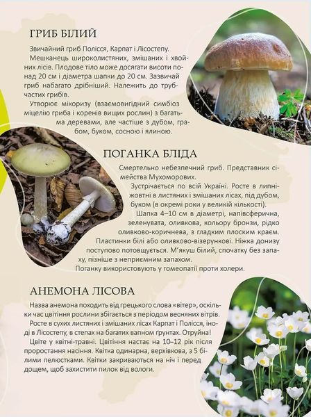 Перлини природи України 10311016058 фото