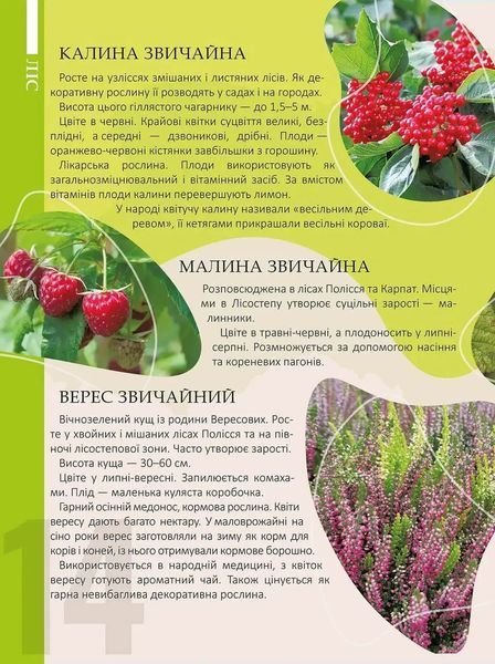 Перлини природи України 10311016058 фото