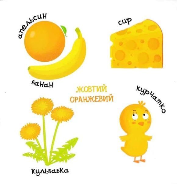 Яскраві кольори. Сторінки-цікавинки 1031151355 фото