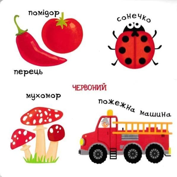 Яскраві кольори. Сторінки-цікавинки 1031151355 фото