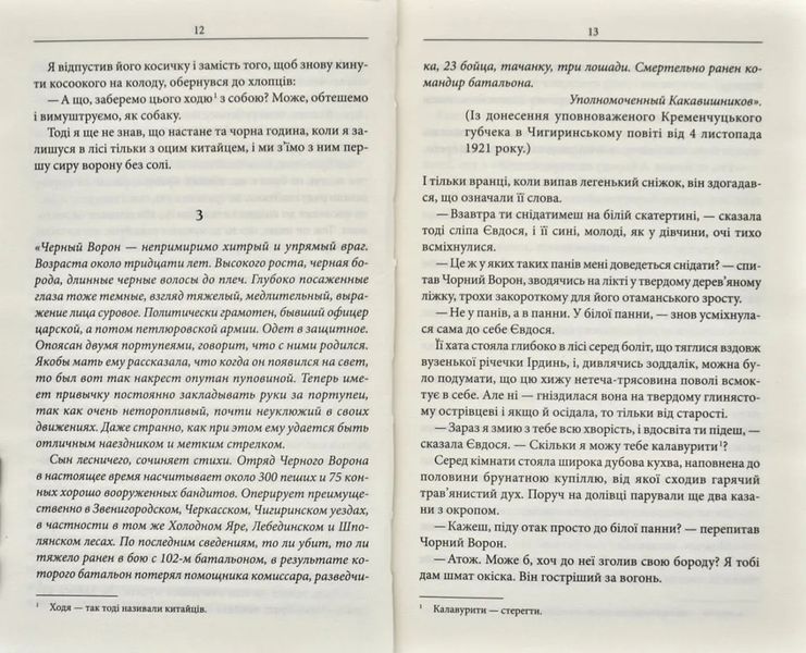 Чорний ворон. Залишенець (кінообкладинка) 1031168279 фото
