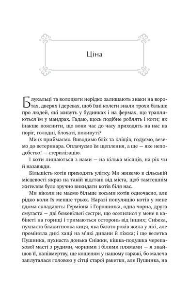 Дим і дзеркала. Короткі оповідання та ілюзії 10311018567 фото