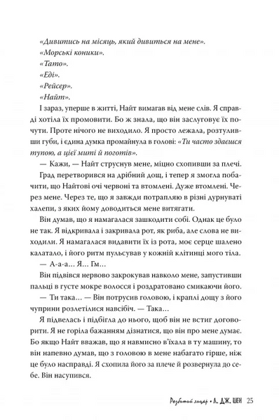 Розбитий лицар 10311024044 фото