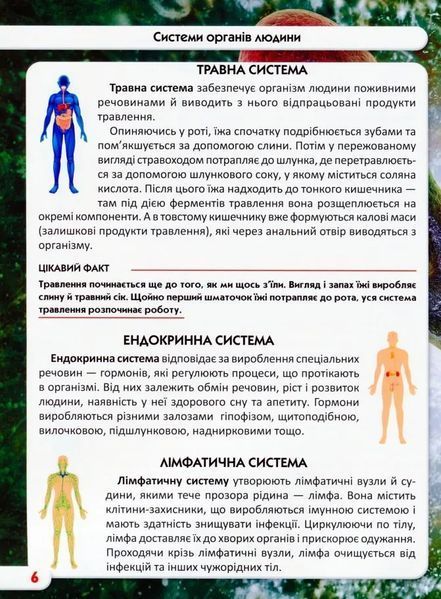 Світ навколо нас. Тіло людини 10311005668 фото