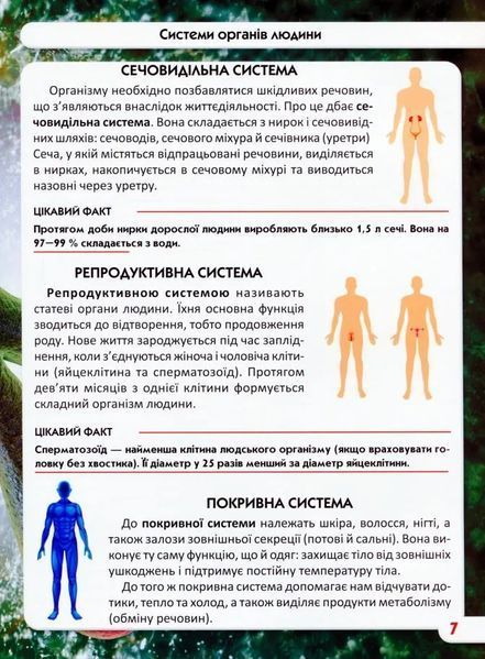 Світ навколо нас. Тіло людини 10311005668 фото