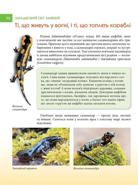 Загадковий світ Амфібій. Енциклопедія 10311027768 фото