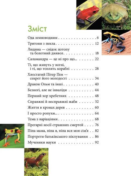 Загадковий світ Амфібій. Енциклопедія 10311027768 фото