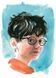 Harry Potter and the Philosopher&rsquo;s Stone Illustrated Edition 10311023550 фото 3