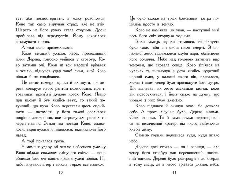 Звіродухи. Падіння звірів. Полум&rsquo;яний приплив. Книга 4 10311032635 фото