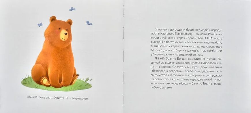 Місія Порятунок: ведмеді 10311007220 фото