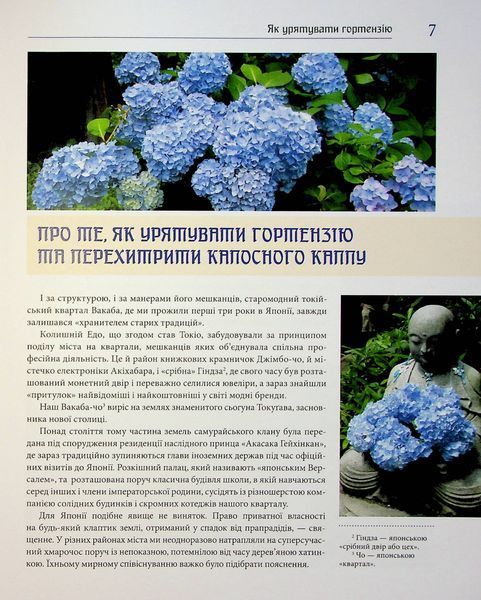 Синій колір японського літа 10311024781 фото