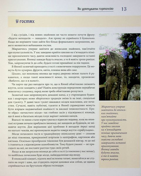 Синій колір японського літа 10311024781 фото