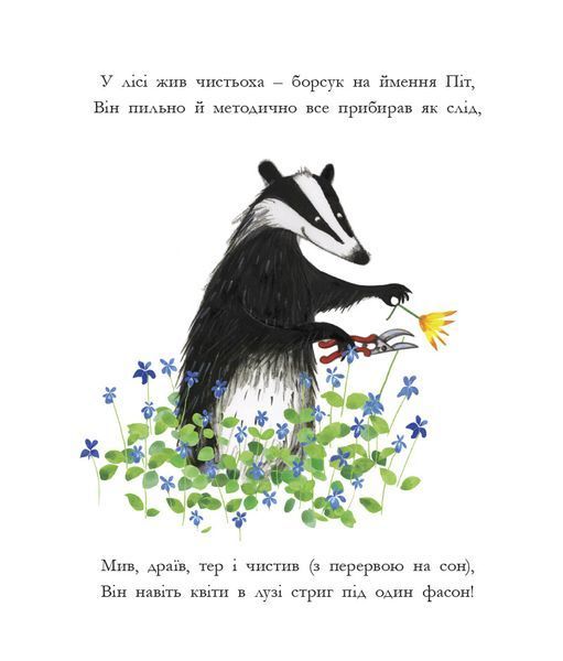 Чистьоха 10311027710 фото