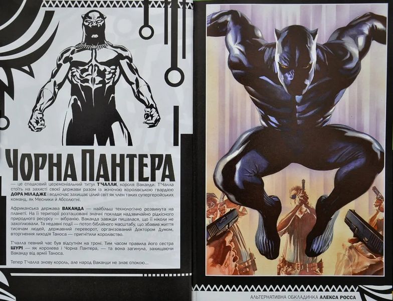Чорна Пантера. Народ у нас під ногами. Книга 1 10311001605 фото