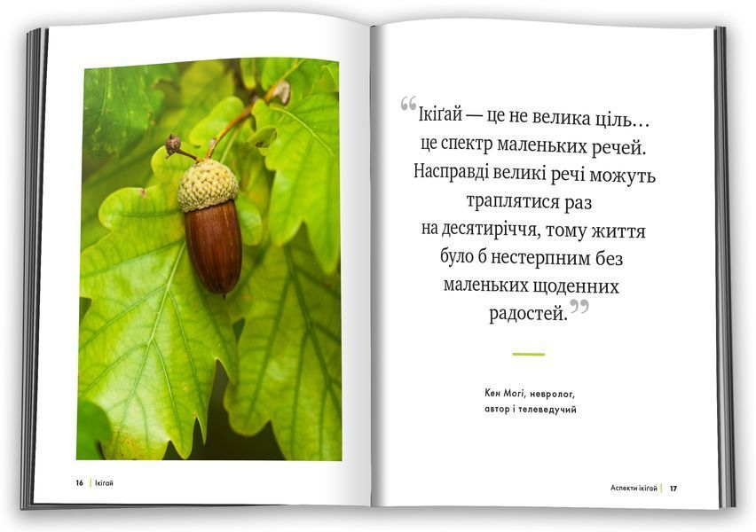Ікіґай. Віднайдіть сенс свого життя 10311001126 фото