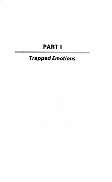 The Emotion Code 10311028869 фото