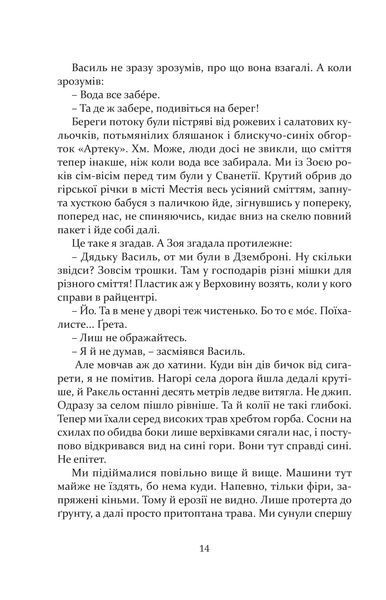 Вивітрювання 10311013080 фото