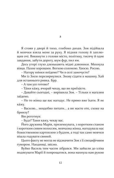 Вивітрювання 10311013080 фото