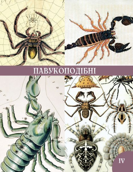 Розповіді про тварин та їх назви 10311016650 фото