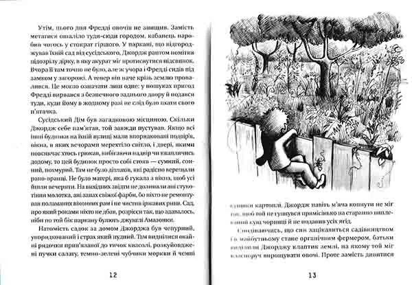 Джордж і таємний ключ до Всесвіту. Книга 1 1031146460 фото