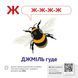 Звуконаслідування. Абетка QR 10311017538 фото 2