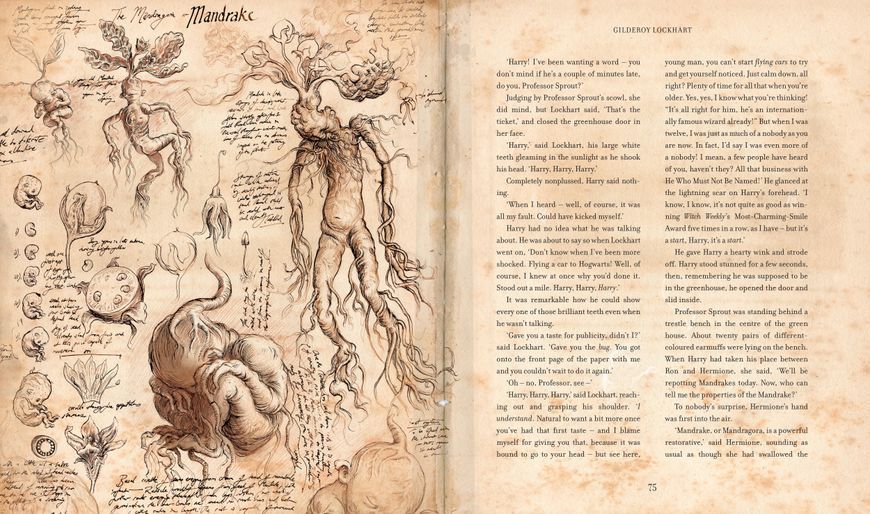 Harry Potter and the Chamber of Secrets Illustrated Edition 10311023551 фото