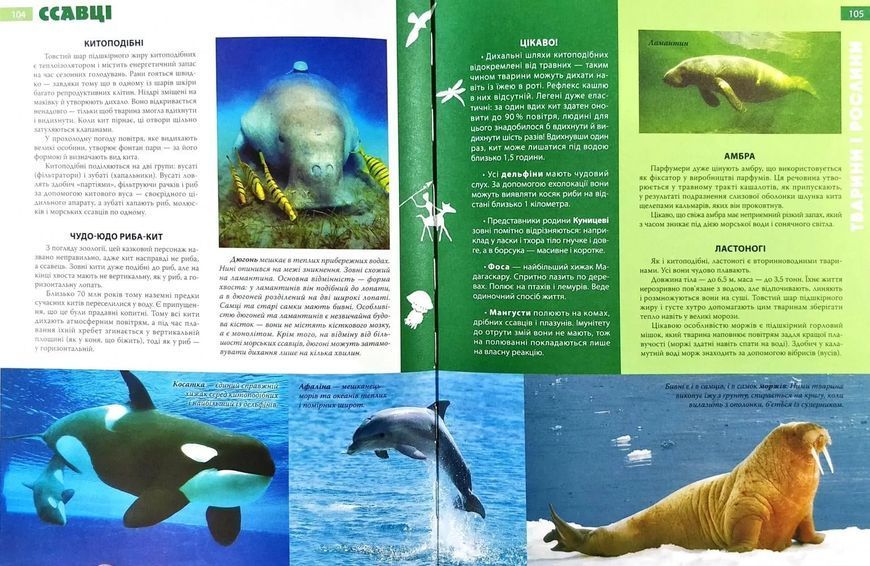 Енциклопедія необхідних знань школяра 1031131742 фото