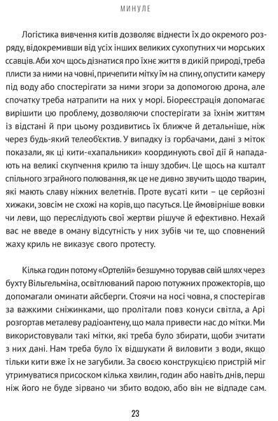 Підглядаючи за китами: Минуле, сьогодення та майбутнє найбільших у світі тварин 10311017089 фото