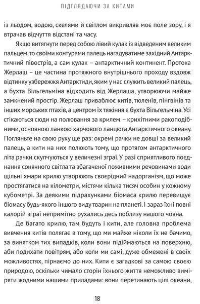 Підглядаючи за китами: Минуле, сьогодення та майбутнє найбільших у світі тварин 10311017089 фото