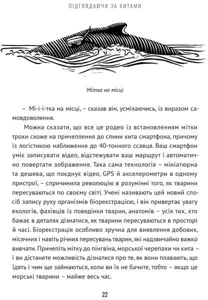 Підглядаючи за китами: Минуле, сьогодення та майбутнє найбільших у світі тварин 10311017089 фото