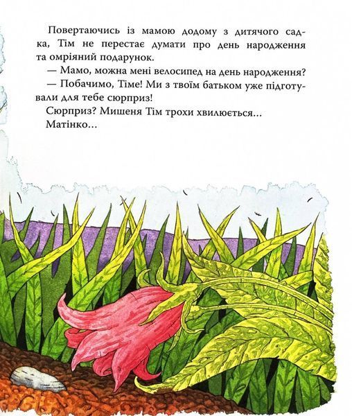 Мишеня Тім святкує день народження 10311031374 фото