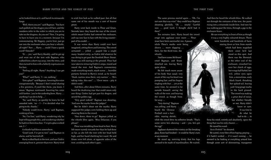 Harry Potter and the Goblet of Fire Illustrated Edition 10311023553 фото