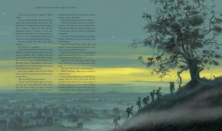 Harry Potter and the Goblet of Fire Illustrated Edition 10311023553 фото