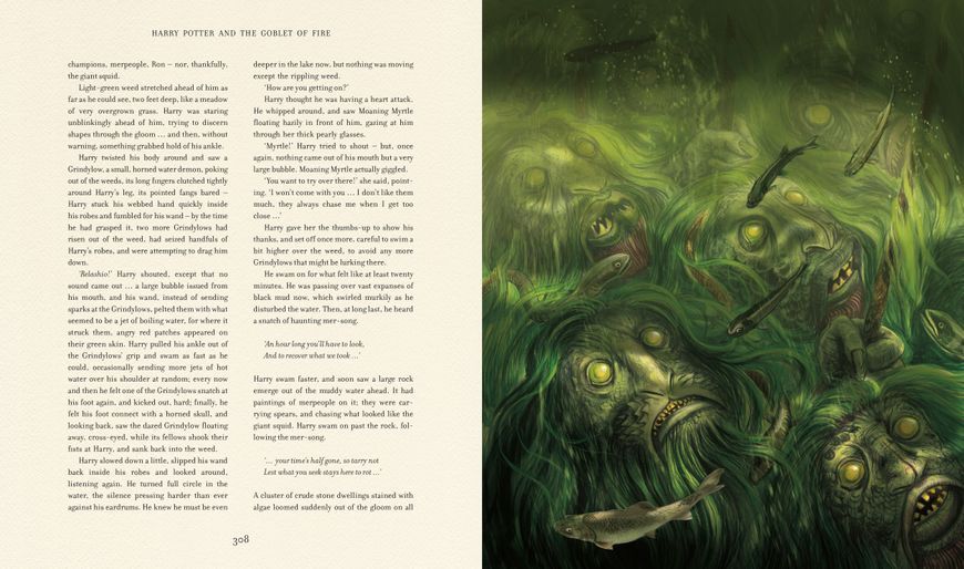 Harry Potter and the Goblet of Fire Illustrated Edition 10311023553 фото