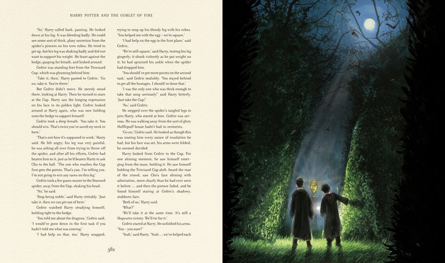 Harry Potter and the Goblet of Fire Illustrated Edition 10311023553 фото